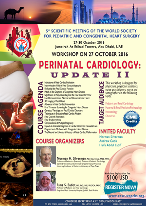 Perinatal-Cardiology-Updates---WSPCHS-2016 thm