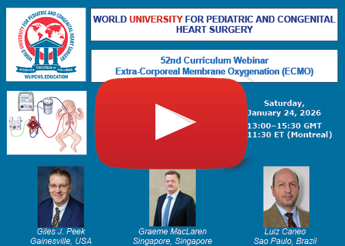 ECMO Play video image