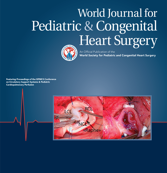Cover image of WJPCHS May 2025, Vol. 16, No. 3